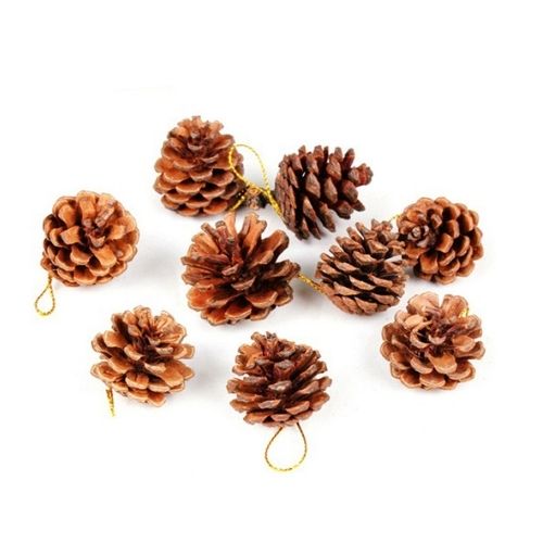 Christmas Decorative Natural Pinecones 12 Pack