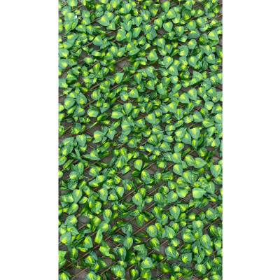 Robert Charles Expanding Trellis w/Leaves 0.6m x 1.8m