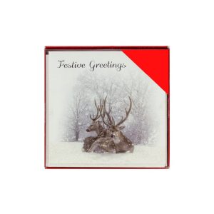 Festive Greetings Stag Christmas Cards Pack of 12