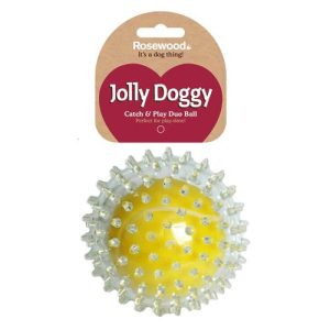 Rosewood Catch & Play Duo Ball Dog Toy