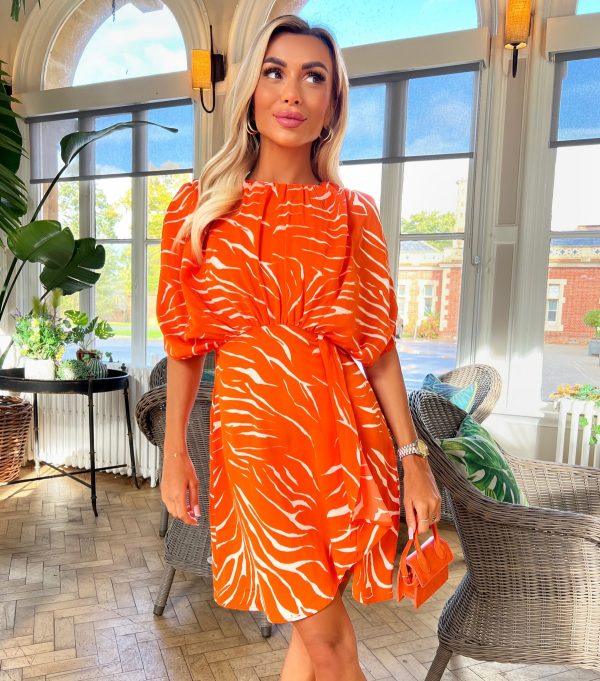 Women's Orange Animal Print Batwing Mini Dress AX Paris New Look
