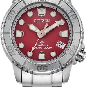 Citizen Promaster Diving Watch