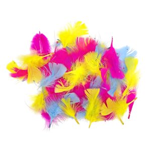 Craft Feathers Pack Multicoloured
