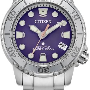Citizen Promaster Diving Watch