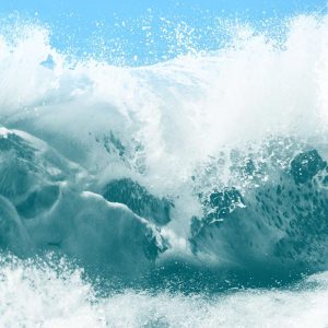 04 Ocean Calling
