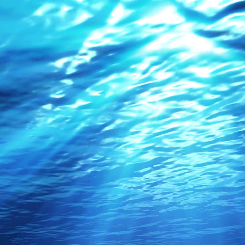 03 Seashore Waves