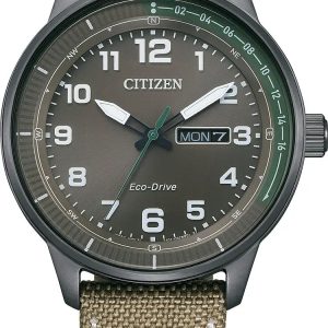 Citizen Weekender Mens Watch