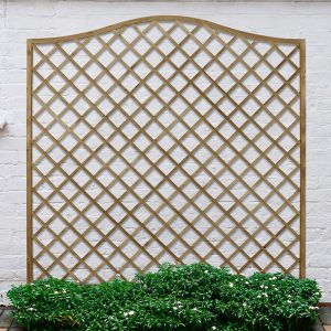 Forest 6' x 6' Pressure Treated Europa Hamburg Decorative Garden Screen Panel (1.8m x 1.8m)