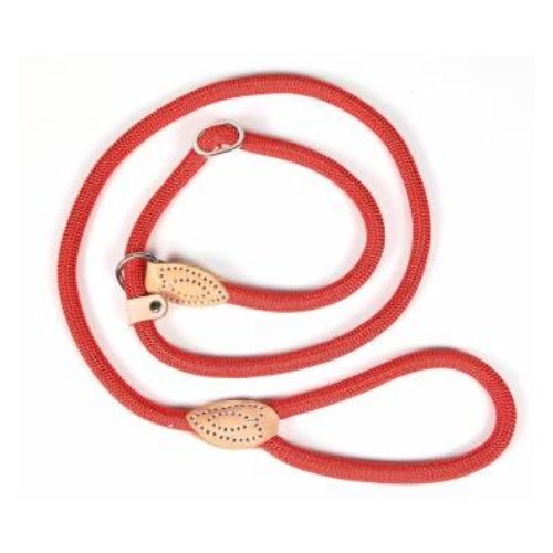 Hounds Rope Slip Dog Lead & Collar