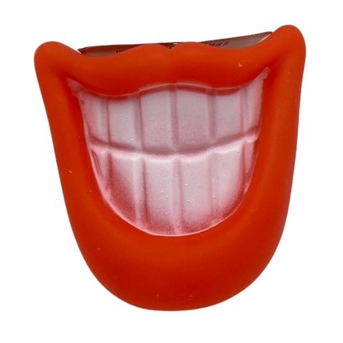 Cooper & Pals Photobooth Smiley Dog Toy