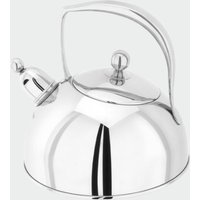 Bresor Polished Stovetop Kettle By Stellar