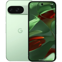 Google Pixel 9 256GB Wintergreen Unlocked Brand New