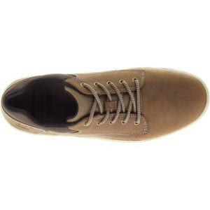 Trainers Caterpillar Colfax