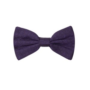 Papillon Viola in seta Dolce & Gabbana