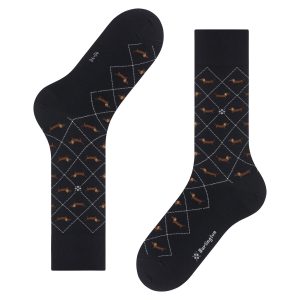 Socks Burlington Dachshund