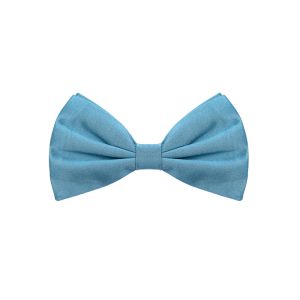 Papillon in Dolce & Gabbana silk