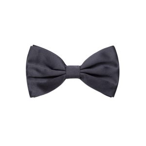 Papillon in Dolce & Gabbana silk