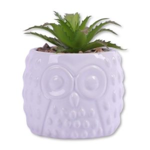 In Bloom Succulent Decor Artificial Plant Pot Aloe
