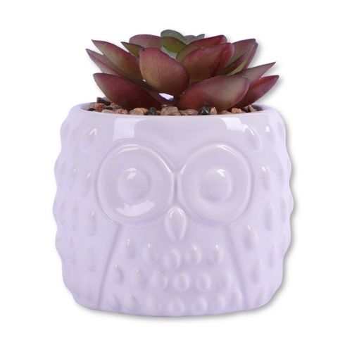 In Bloom Succulent Decor Artificial Plant Pot Aeonium