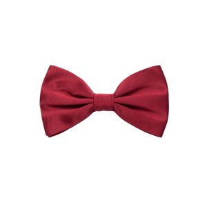 Papillon in Dolce & Gabbana silk