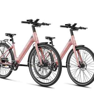 Heybike EC 1-ST Combo