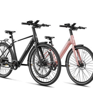 Heybike EC 1 & EC 1-ST Combo