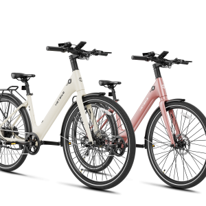Heybike EC 1-ST Combo