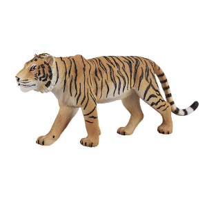 Bengal Tiger