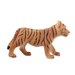 Tiger Cub standing