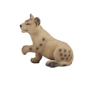 Lion cub Playing