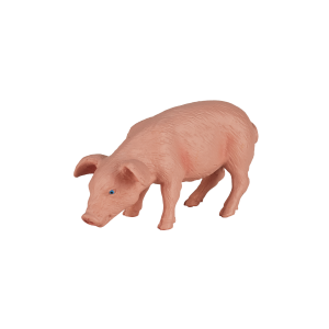 Piglet Feeding
