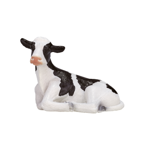 Holstein Calf laying down