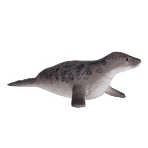 Grey Seal
