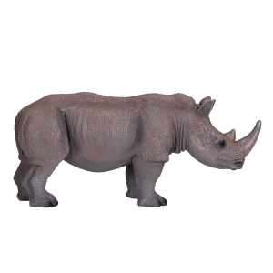 White Rhinoceros
