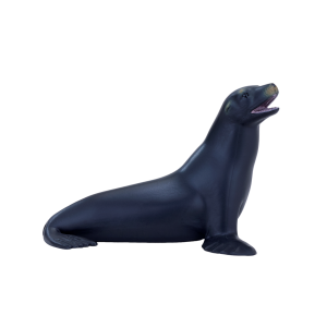 Californian Sea Lion
