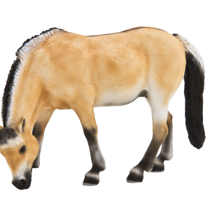 Fjord Mare