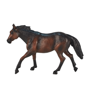 Quarter Horse Sooty Bay