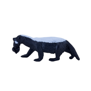 Honey Badger Female with cub