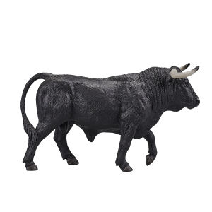 Spanish Bull