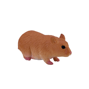 Hamster