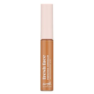 Fresh Face Perfecting Concealer | Shade 11