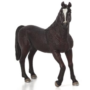Arabian Stallion Black