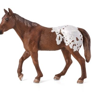 Appaloosa Stallion Chestnut Blanket