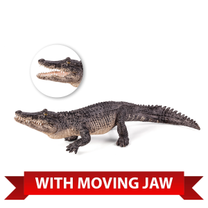 Alligator