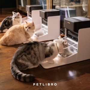 Petlibro One RFID Pet Feeder, 3 Packs