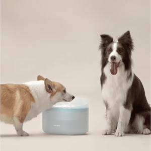 Petlibro Capsule Dog Fountain, Capsule