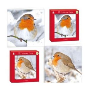 Robin Christmas Cards 12 Pk Assorted Designs